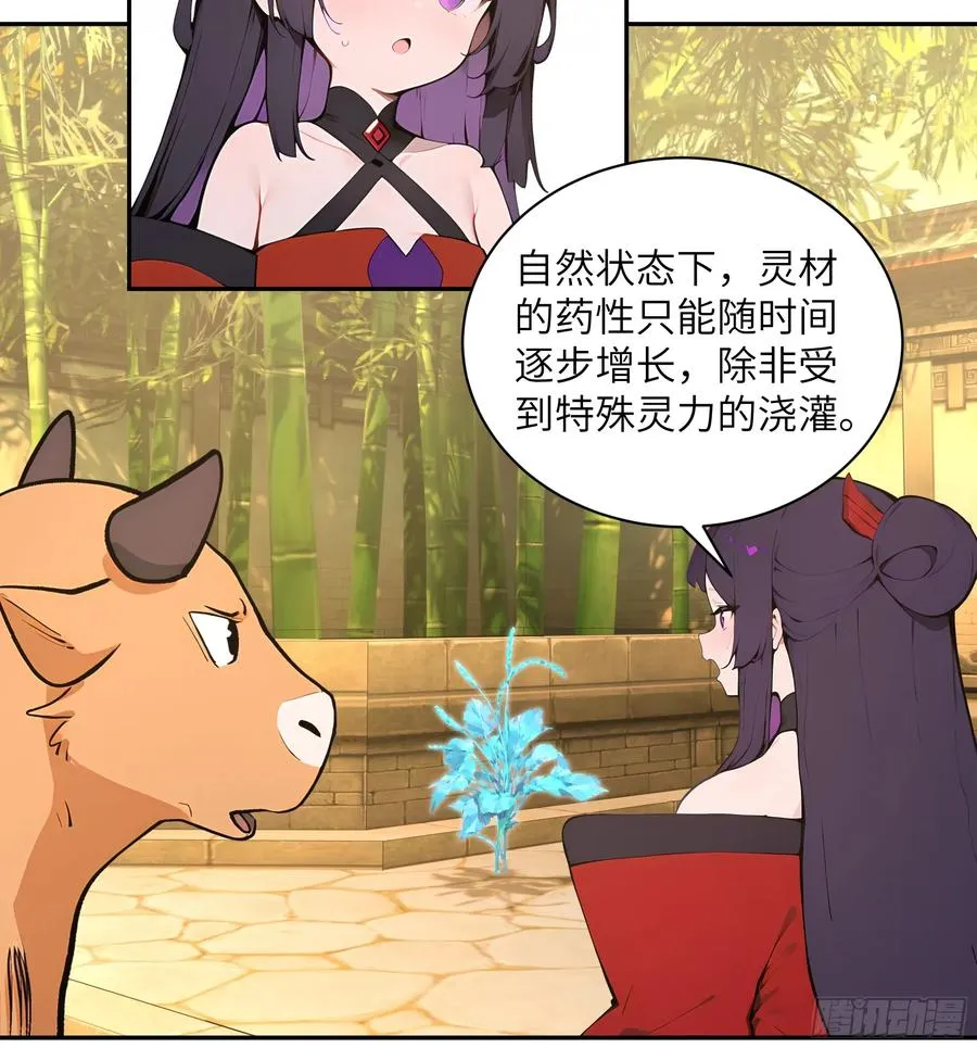 52 零星草37
