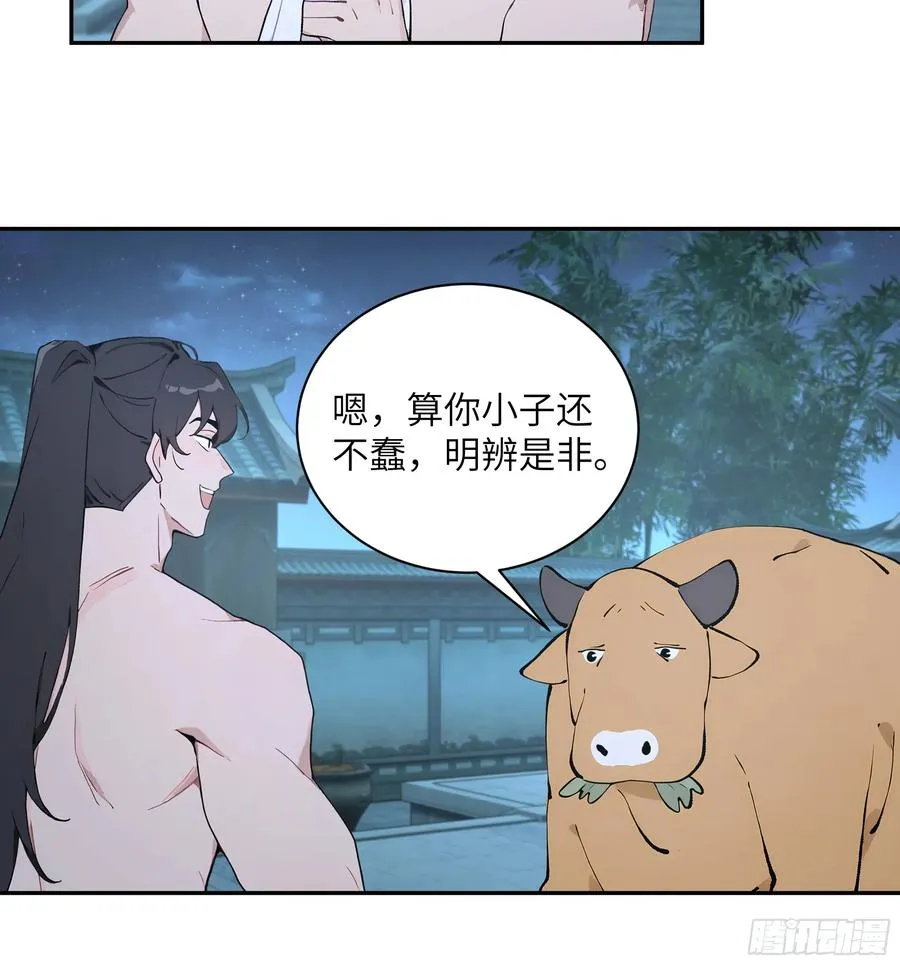 52 零星草7