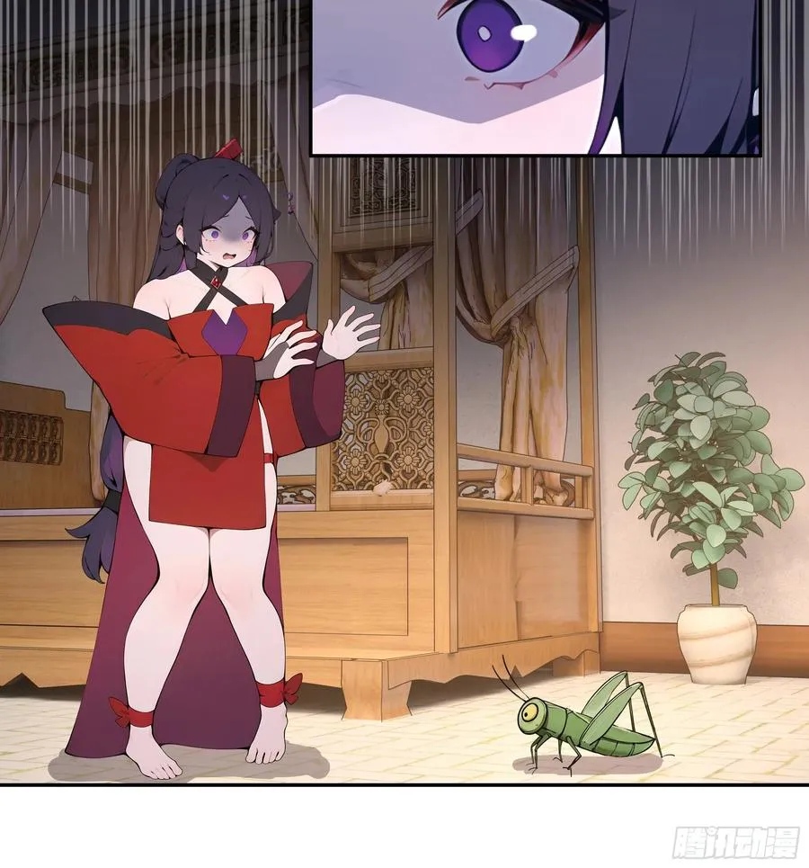 52 零星草13