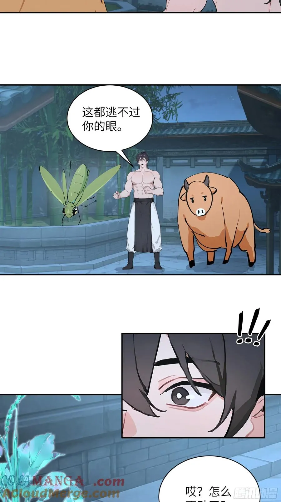 52 零星草21