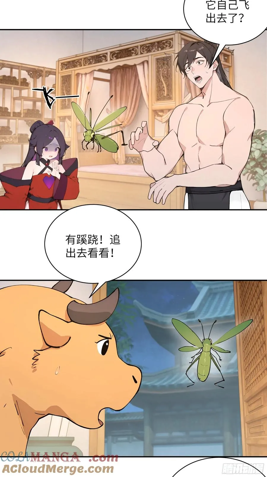 52 零星草18