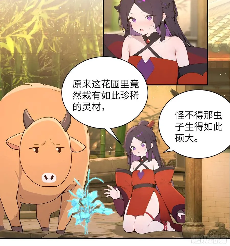 52 零星草31