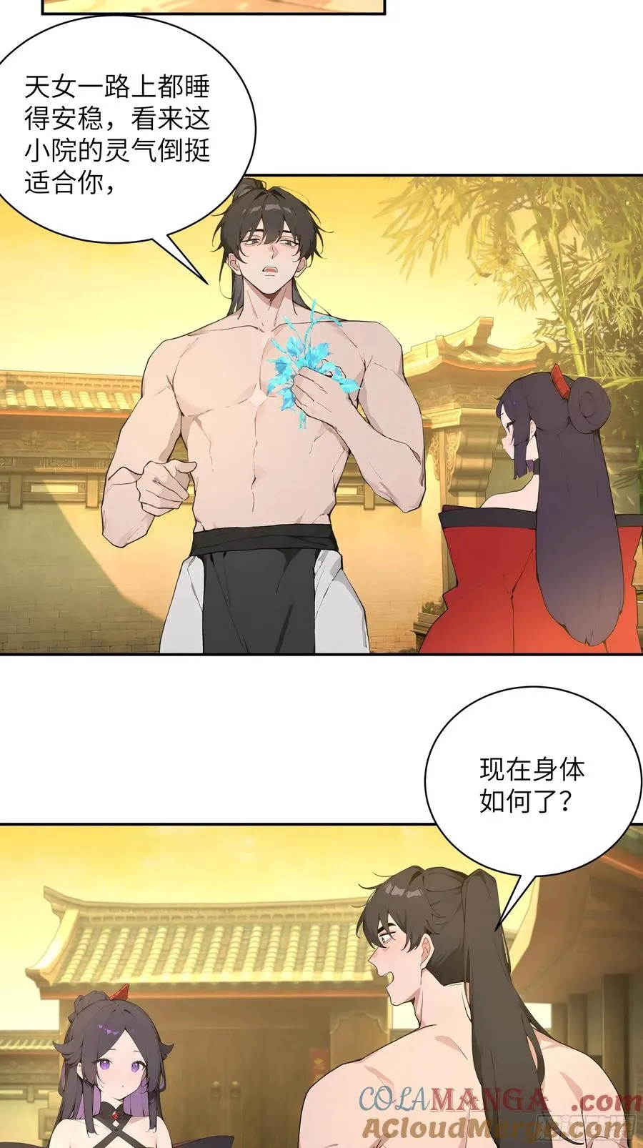 52 零星草42