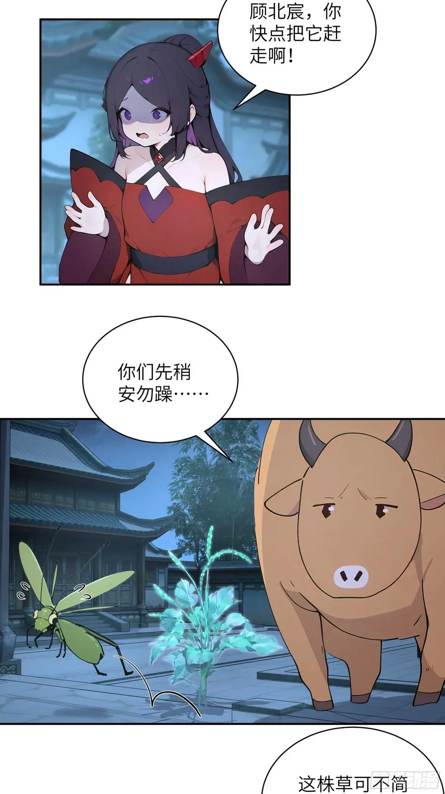 52 零星草23