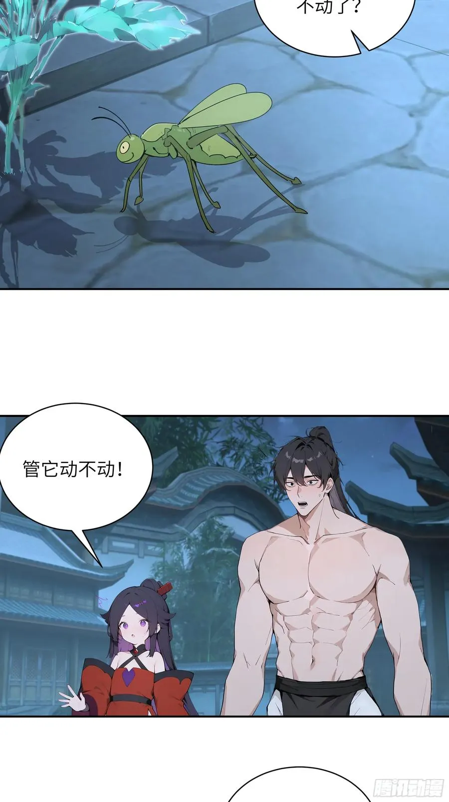 52 零星草22