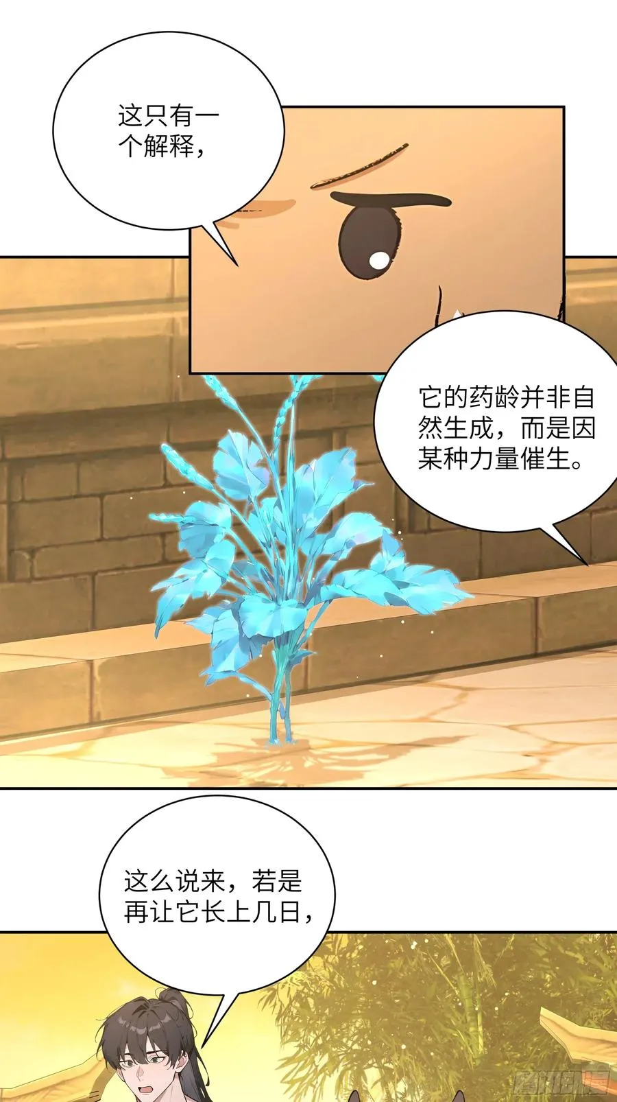 52 零星草35