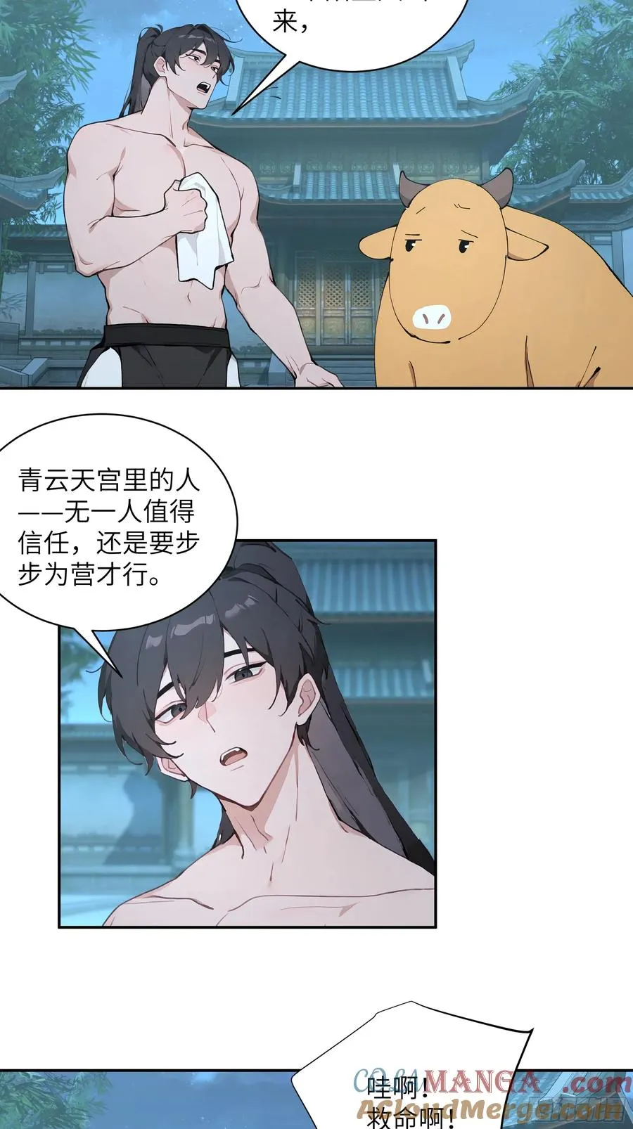 52 零星草9