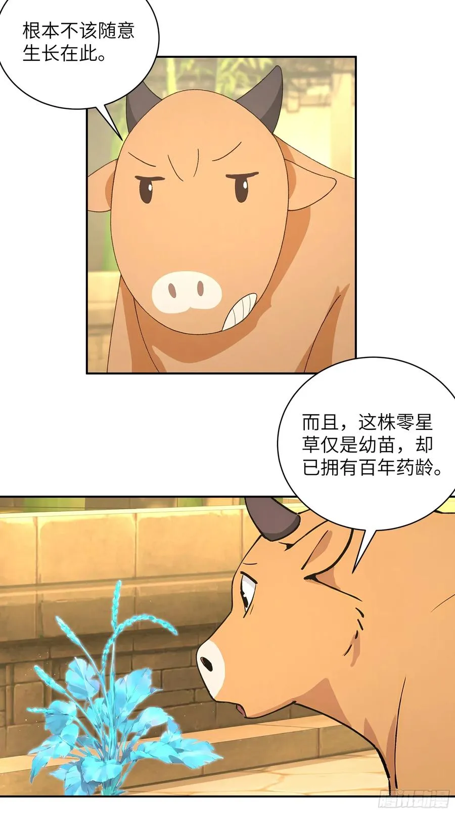 52 零星草34