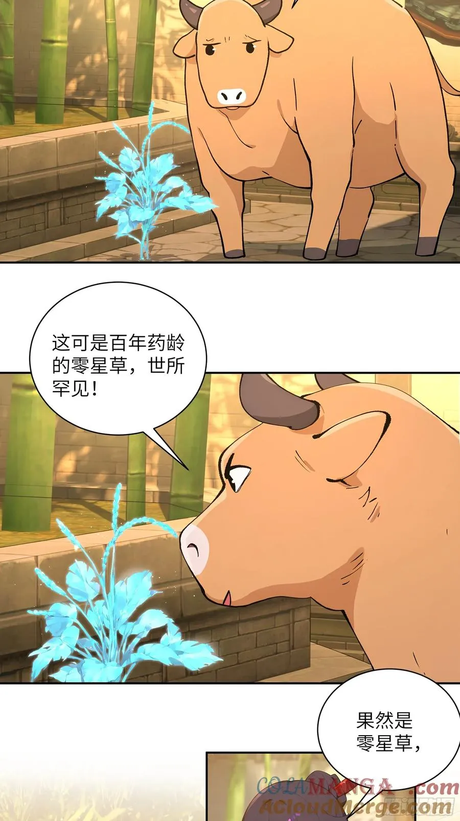52 零星草30