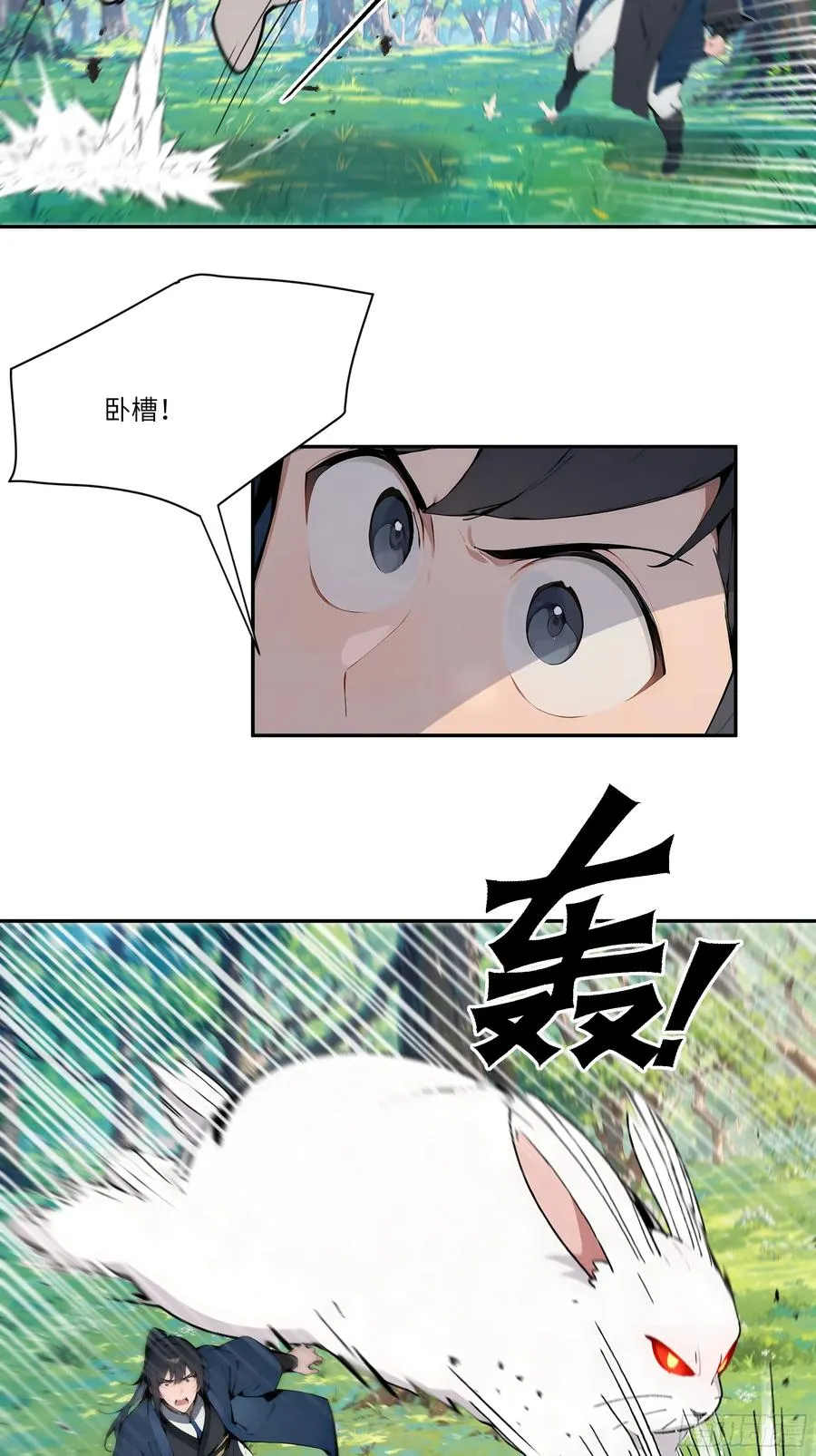 12 大白兔，白又白！11