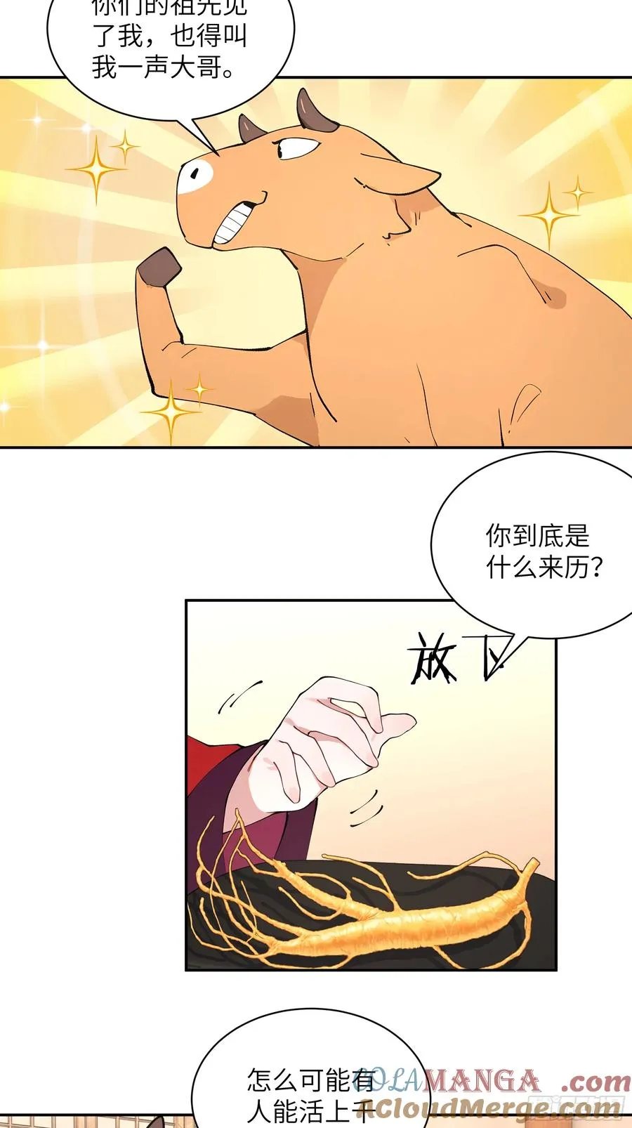 46 千年人参滋补15