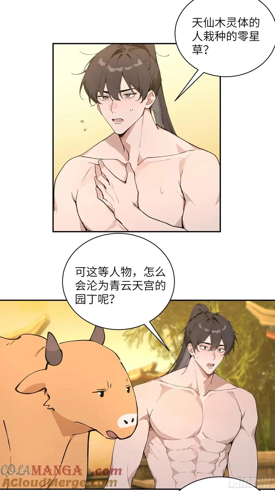 52 零星草39