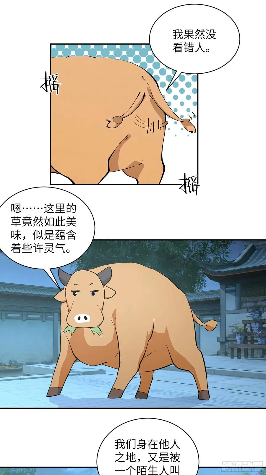 52 零星草8