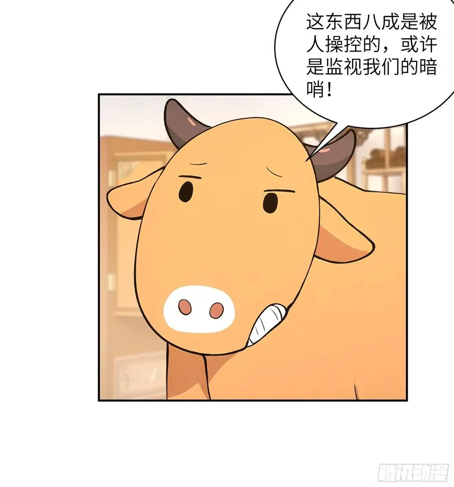 52 零星草19