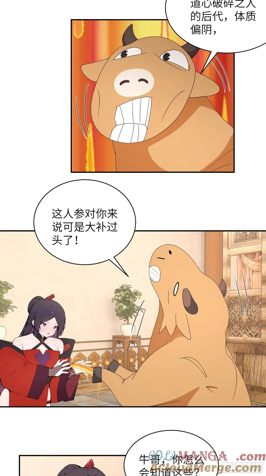 46 千年人参滋补12