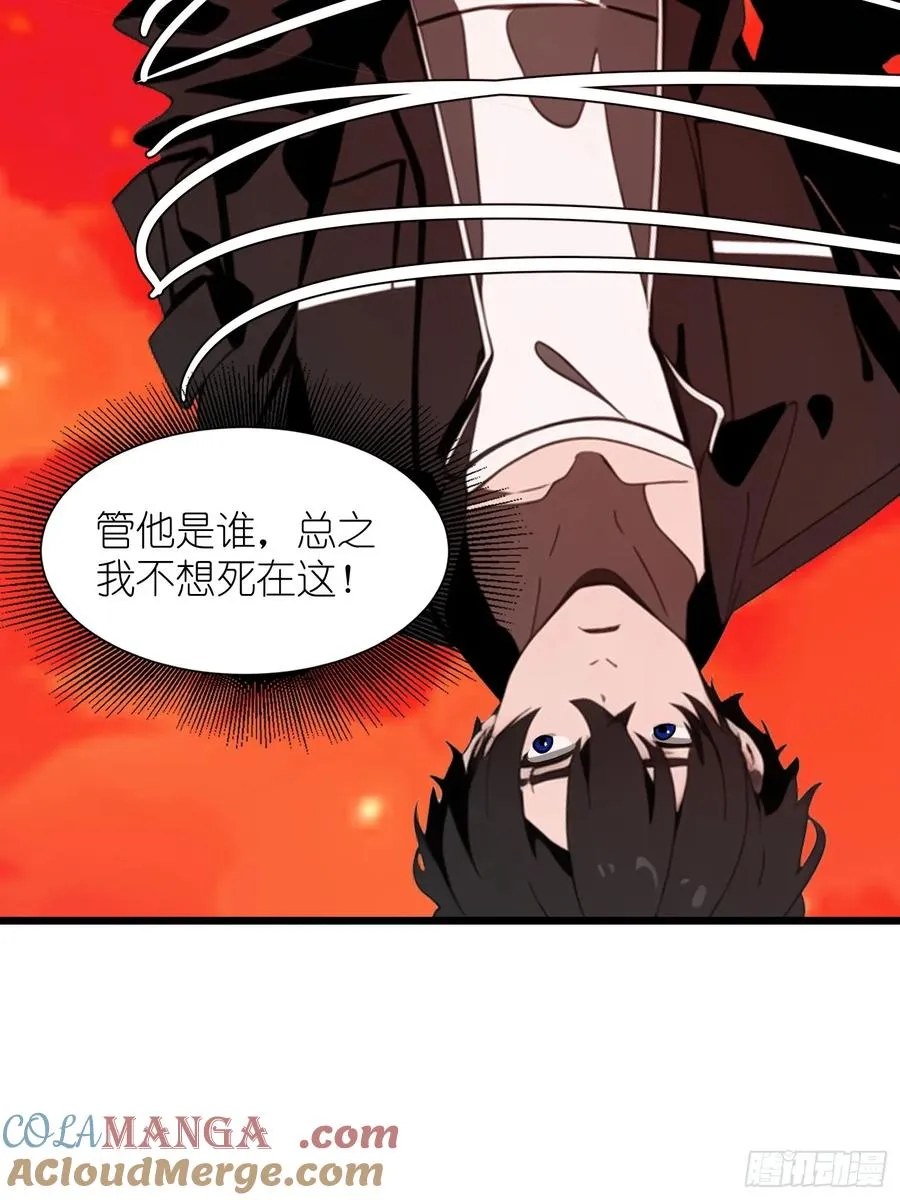 34 它竟然认识我？！45