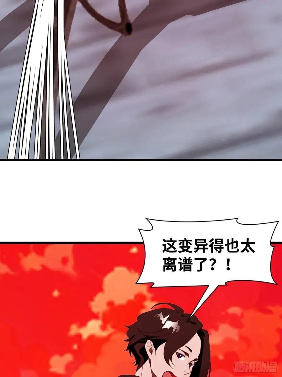34 它竟然认识我？！37