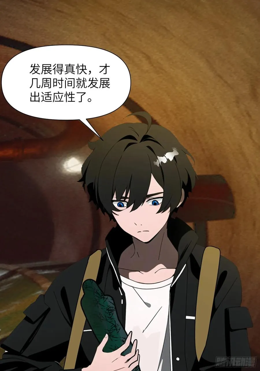 14 红眼鼠王？25