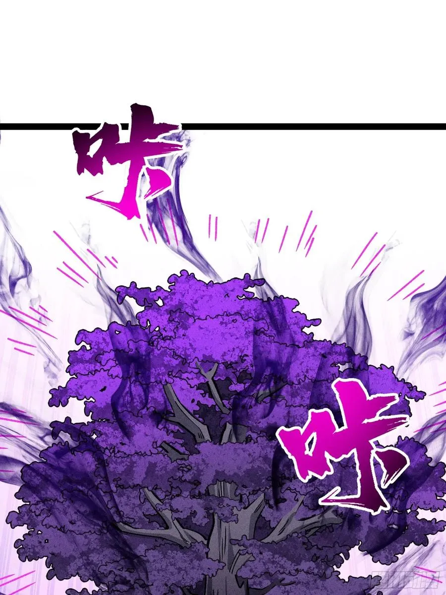 老毕登可真耐造37