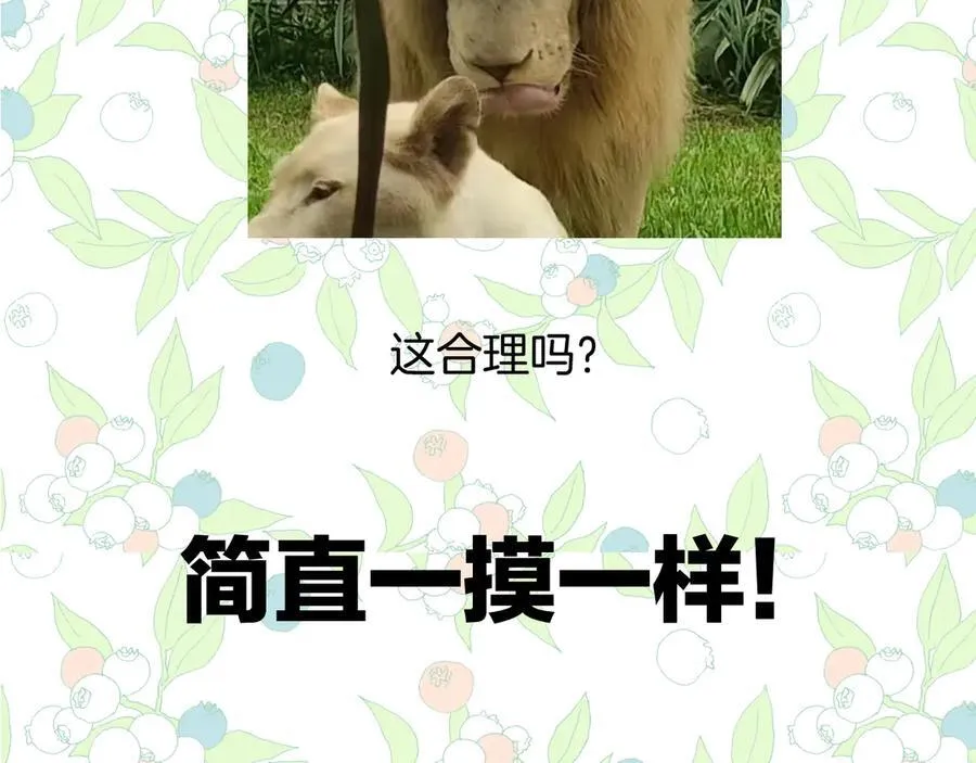 休刊问答311