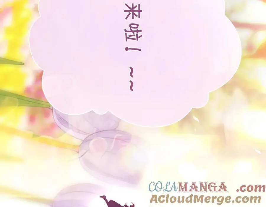 第51话 乌龙84