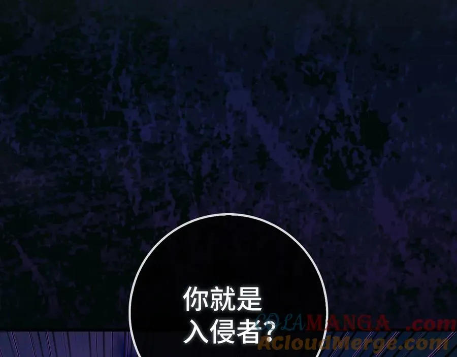 第91话 突破！双杀星座28