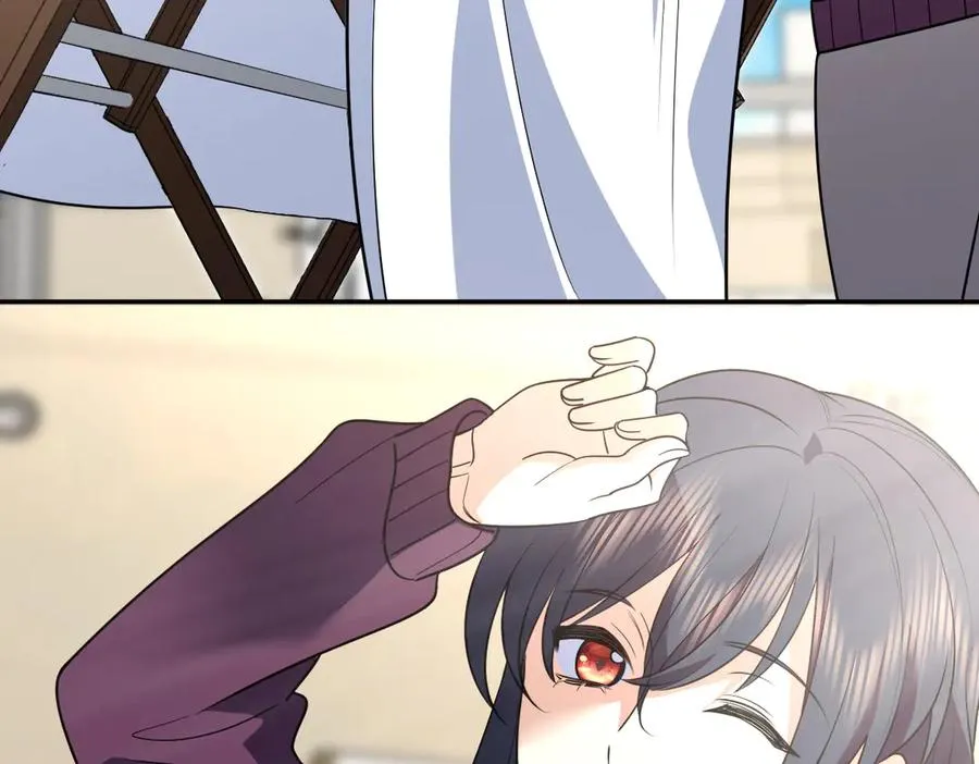 38481