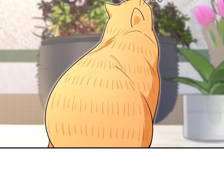 38081