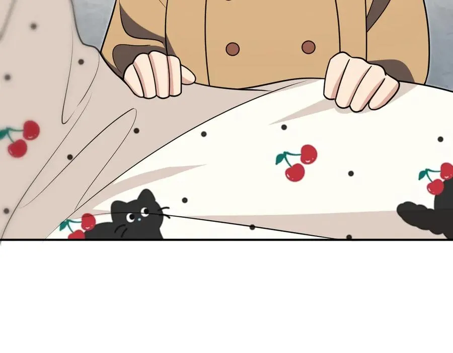 38123