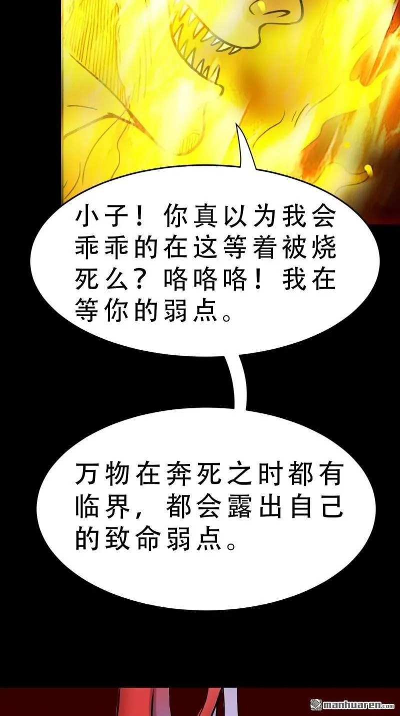 第377回 百宝岛41