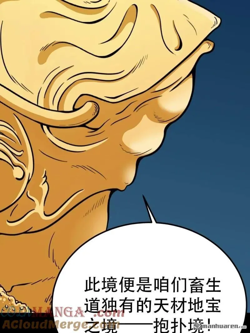 第377回 百宝岛15