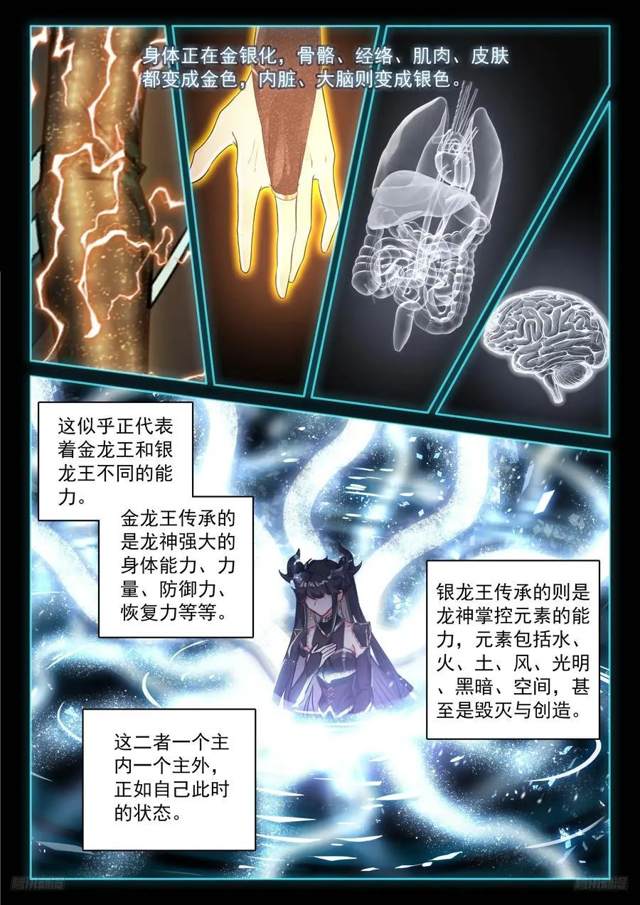 轩宇渡劫9