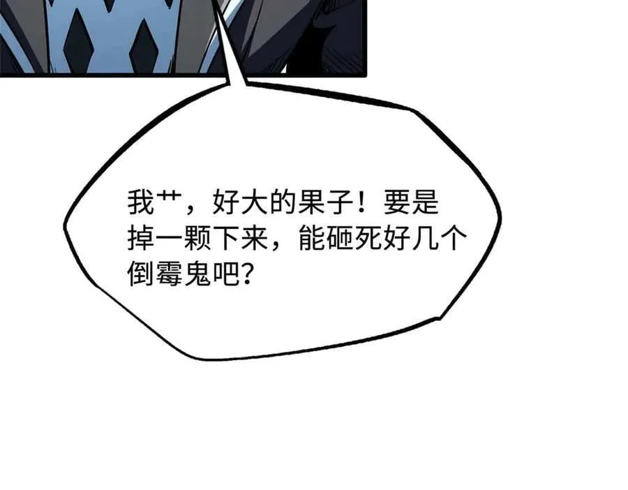 353 似花似果非花非果99