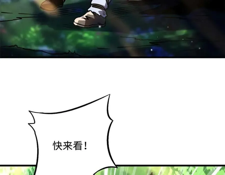 353 似花似果非花非果47