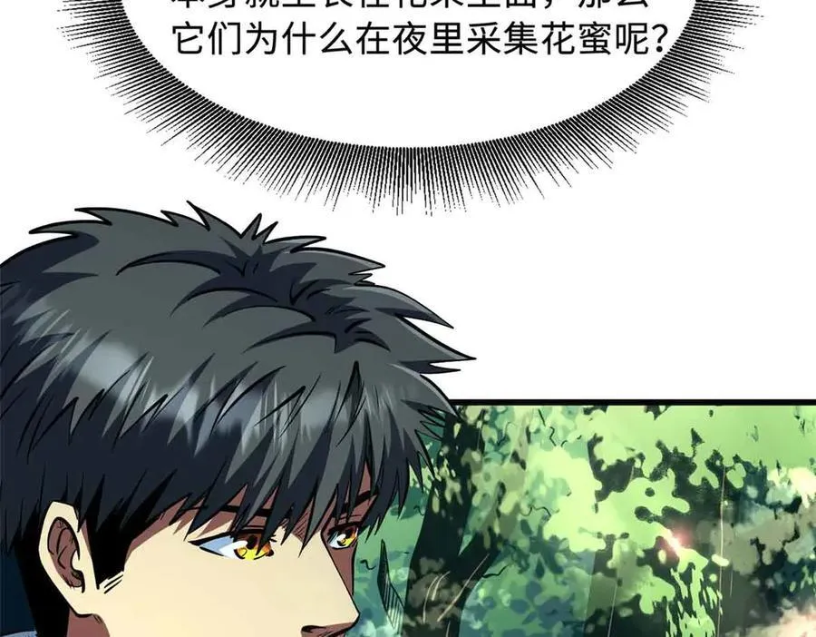 353 似花似果非花非果78