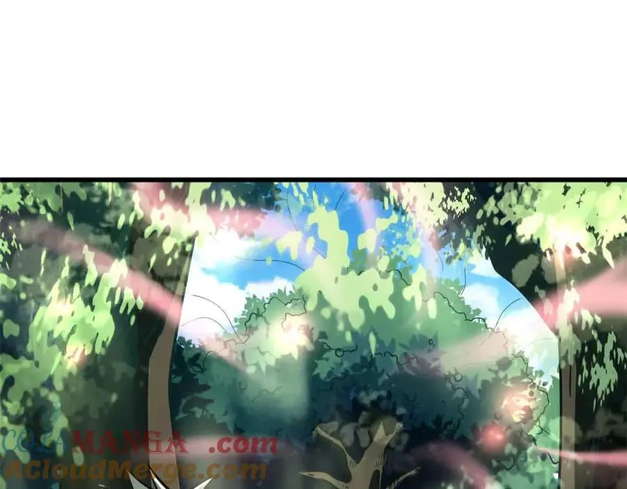 353 似花似果非花非果84