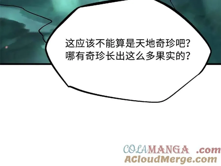 353 似花似果非花非果104