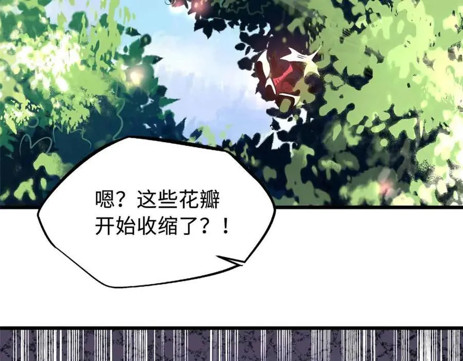 353 似花似果非花非果62