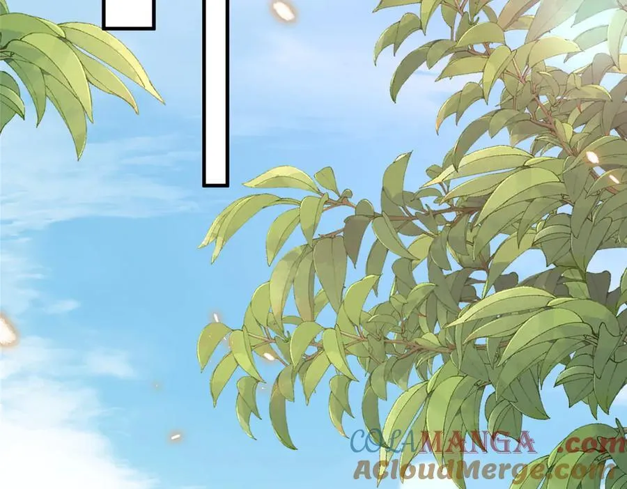 796 立功的机会28