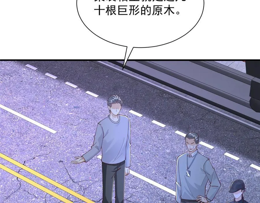 795 巴斯矿石29