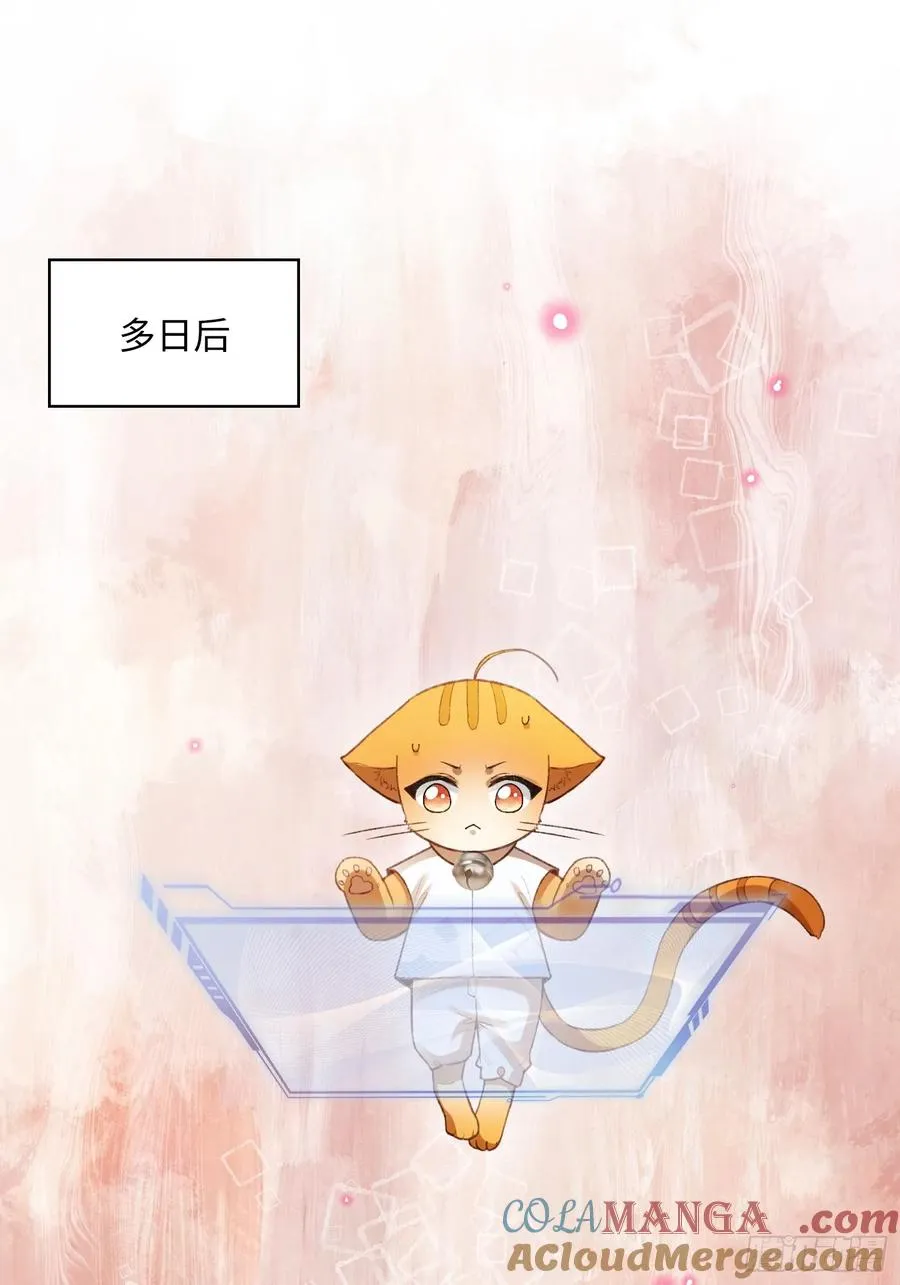 118 摊牌26