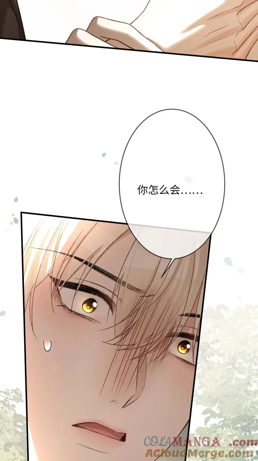 118 摊牌8