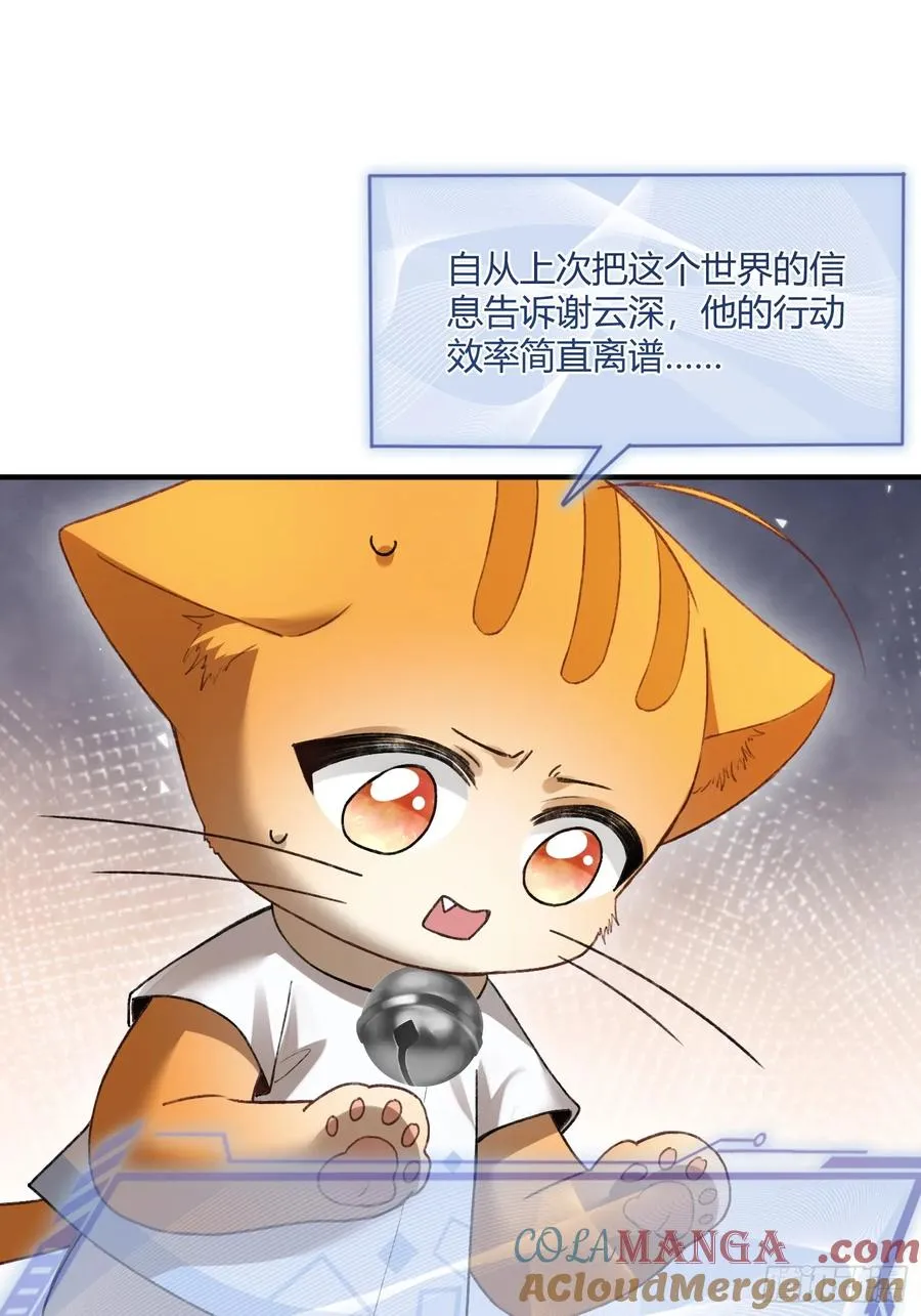 118 摊牌28