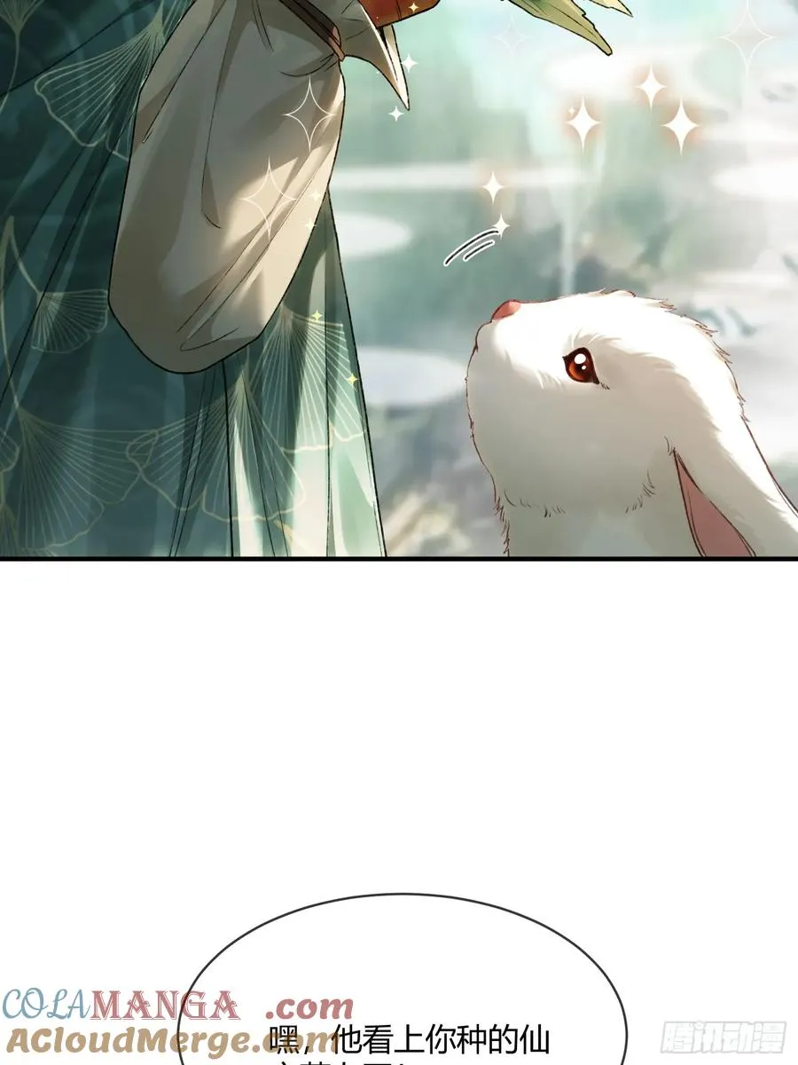 119 情劫24