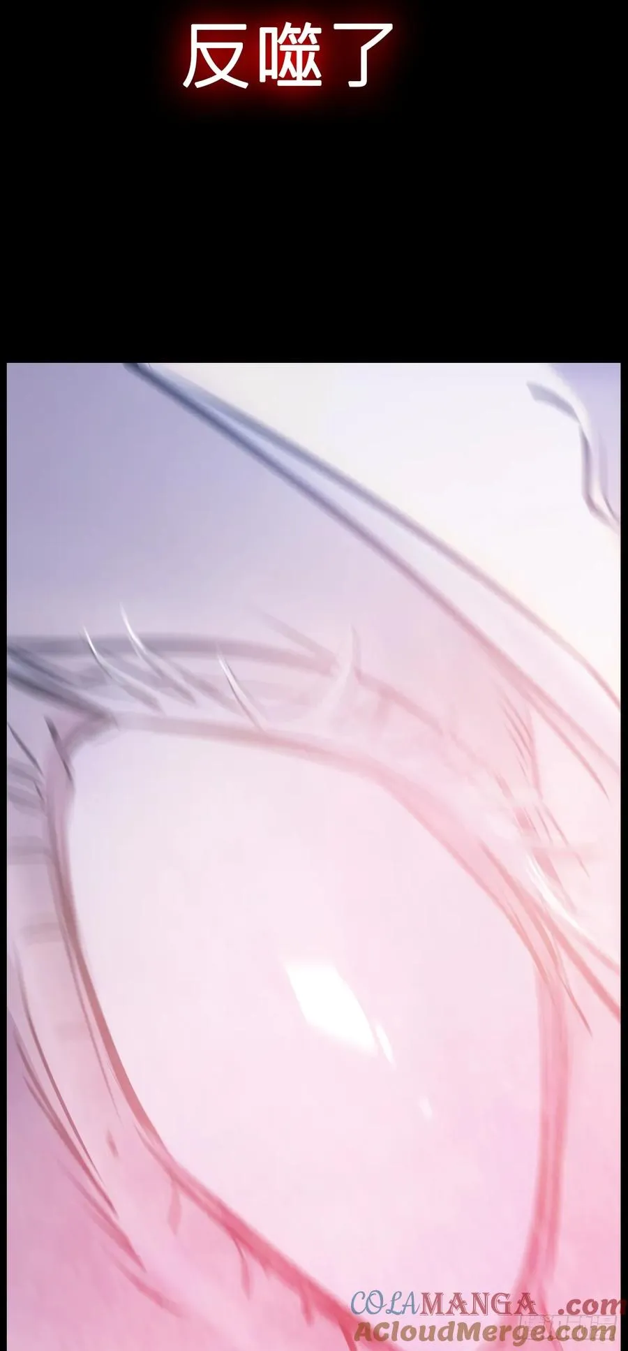 心51