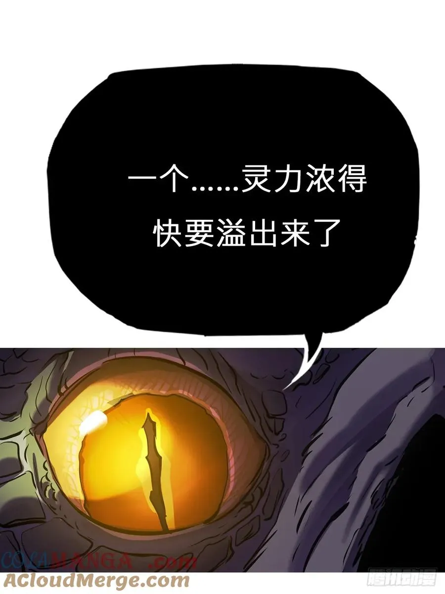 枭蛇15
