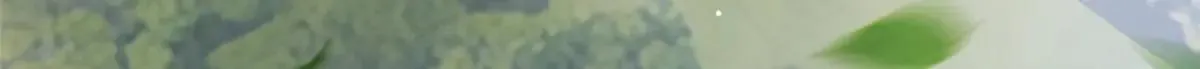225 黑色石头30