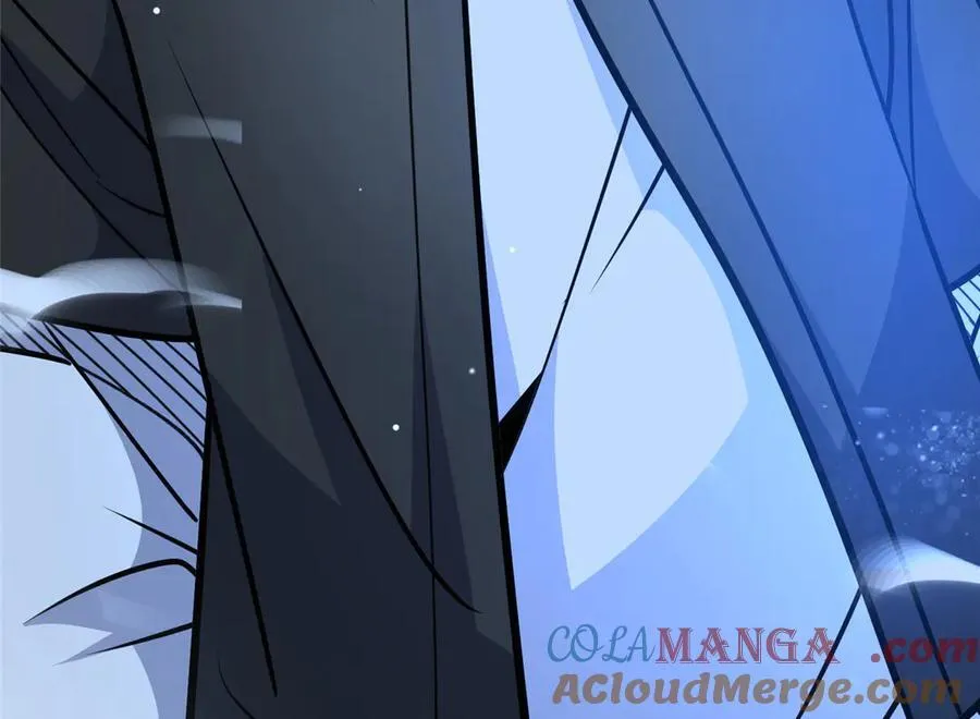 238 陈天黎88