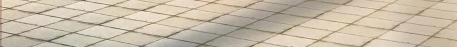 242 战书6