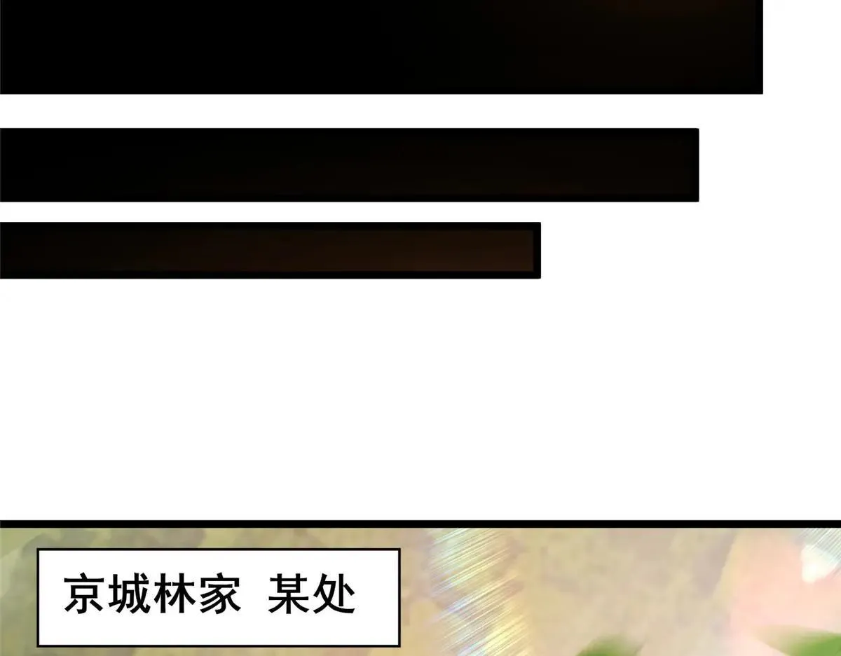 225 黑色石头28